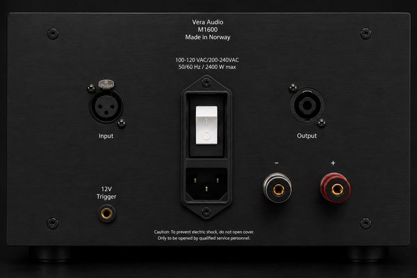 Vera Audio M1600 rear panel